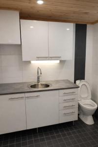 a white kitchen with a sink and a toilet at HIMOS Petäjäkuja 3 in Himos +8 photos