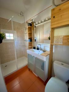 ein Badezimmer mit Waschbecken, Dusche und Toilette in der Unterkunft Duplex studio Moulleau proche plage avec chambre en mezzanine in Arcachon + 15 Fotos