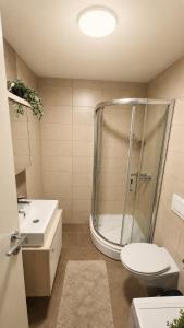 a bathroom with a shower and a toilet and a sink at Luxury Apartment Paraćin - River View in Paraćin