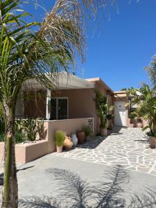 a house with a palm tree in the front yard at Bay View in Faliraki
