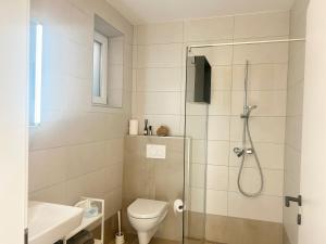 a bathroom with a shower and a toilet and a sink at Feigenterrasse beim Semmering - Studio in Schlagl