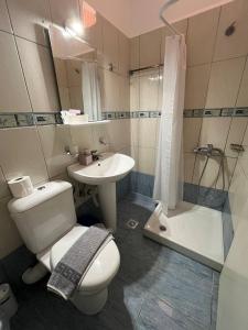 a bathroom with a toilet and a sink and a shower at Studios&apartments Thomas in Vasiliki +99 photos
