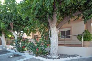 a group of trees in front of a building at Seaside Plitra Paradiso - Steps from the Beach in Plytra