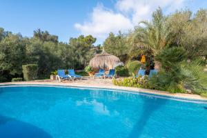 a swimming pool with blue chairs and a thatch umbrella at Finca Binifarda by Mallorca House Rent in Felanitx