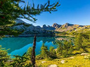 a view of a lake with trees and mountains at Aurelia Verdon in Angles