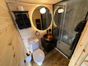 a bathroom with a toilet and a sink and a mirror at Scranton luxury fishing pod with private fishing Jetty in Spilsby +40 photos