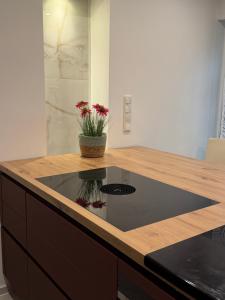 a kitchen with a counter top with a pot of flowers at Romantiksuite Euskirchen in Euskirchen