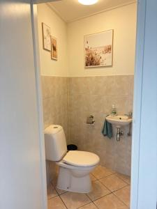 a bathroom with a toilet and a sink at Bed & Beach Zeekraal in De Koog