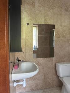 a bathroom with a sink and a toilet at Apartament przy Koniu Trojańskim in Luboń