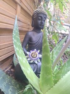 a statue of a buddha sitting in a garden at petit cocon in Toulon +9 photos