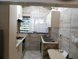 a small kitchen with a sink and a window at Ocean House in St Lucia