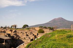 a group of ruins in a field with a mountain in the background at Zest House Pompei in Pompei +44 photos