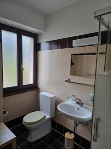a bathroom with a toilet and a sink at La Locanda del Gusto in Cadro
