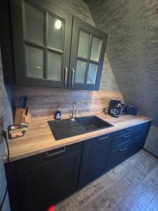 a kitchen with a sink and a wooden counter top at Ruheoase Quickborn in Quickborn
