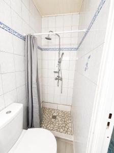 a bathroom with a shower and a toilet at La Mansarde in Le Robert