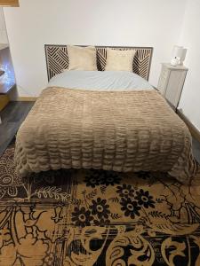 a bedroom with a large bed with a rug at Giret's Studio privé - souplex in Le Mans