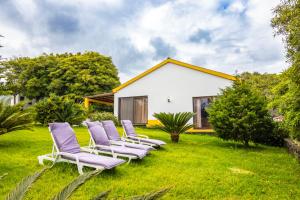 a row of lounge chairs on a lawn in front of a house at VIVA Quinta I Quinta do Ananás Pineapple Farmhouse in São Roque