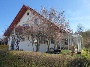 a white house with trees in front of it at Ferienwohnung Irene in Bad Saulgau