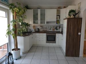 a kitchen with white cabinets and potted plants at Ferienwohnung Irene in Bad Saulgau