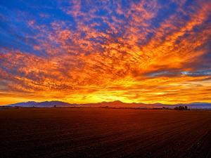 a sunset over a field in the desert at Finca Sueño Crea in Lorca