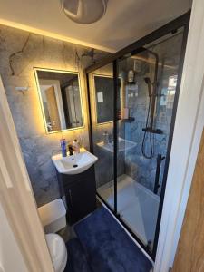 a bathroom with a shower and a sink and a toilet at Bright luxurious Home in Oxford +23 photos
