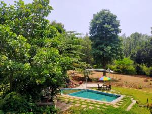 a pool in a yard with a table and an umbrella at Lovelynest homestay in Attigundi +10 photos