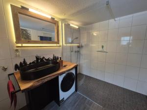 a bathroom with a sink and a washing machine at Zum fröhlichen Eichhörnchen in Feldberg