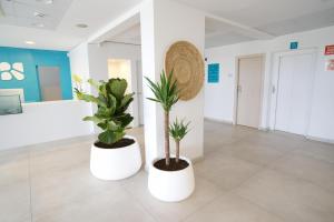 two plants in white pots in a room at BLUESEA Playa Azul in Cala en Porter