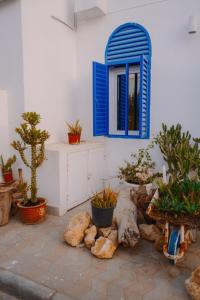 a room with potted plants and a blue window at Bustan Shells House in Muscat +7 photos