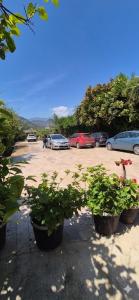 a group of cars parked in a parking lot at Çıralı Villa 2 in Kemer +73 photos