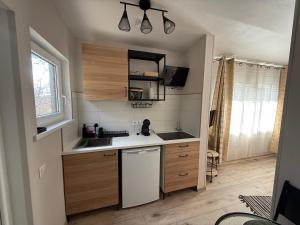 a small kitchen with wooden cabinets and a sink at Vasara Noānā in Plieņciems