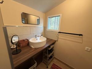 a bathroom with a sink and a mirror on a counter at Vasara Noānā in Plieņciems +23 photos