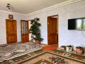 a living room with a flat screen tv on a wall at Temirbek Guest House in Jangy-Talap