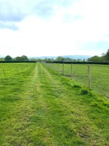 a field of green grass with a fence at Sun rise in Macclesfield