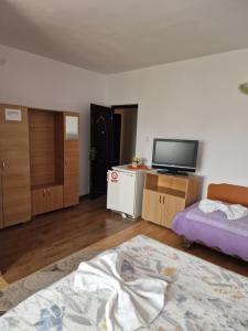 a living room with a bed and a flat screen tv at Riviera Valceana in Râmnicu Vâlcea