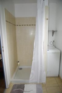 eine Badewanne mit Duschvorhang im Bad in der Unterkunft Gîte De La Tulipe in Guéméné-Penfao