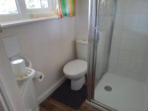 a white bathroom with a toilet and a shower at Elderflower Cottage in Stamford