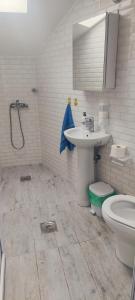 a bathroom with a sink and a toilet at Sofija's Home in Negotino +7 photos