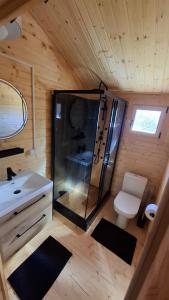 a bathroom with a shower and a toilet and a sink at Zacisze domek z Jacuzzi & Sauna in Chrołowice