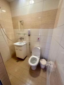 a small bathroom with a toilet and a sink at Irene in Pawlikeni