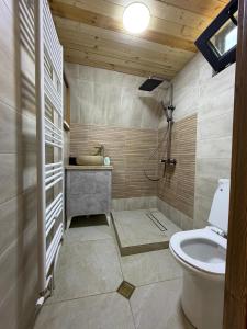 a bathroom with a toilet and a sink at Cozy Home Kazbegi in Kazbegi +27 photos