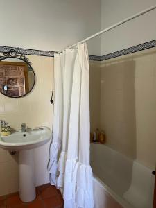 a bathroom with a sink and a tub and a shower curtain at Dão country house in Silgueiros +23 photos