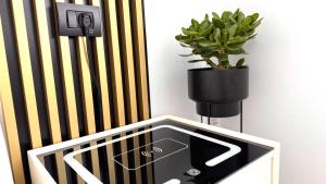 a black and white striped wall with a plant in a box at Apartament Benicarlo2 in Brad +32 photos