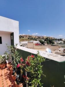 a balcony with plants and flowers on a building at La Maison des Amis in Fez