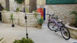 Jízda na kole v ubytování guesthouse marinapoetto nebo okolí