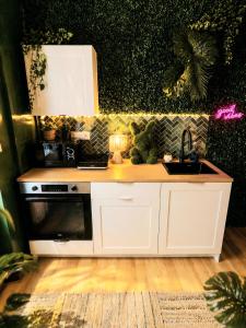 a kitchen with white cabinets and a sink at Le Studio Jungle climatisé in Graulhet