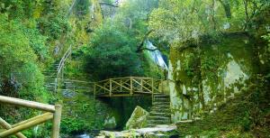 a set of stairs in a forest with a bridge at Casa da Eira in Arganil +10 photos