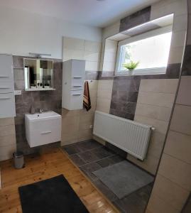 a bathroom with a sink and a mirror at Apartmán u kolejí C in Klobouky u Brna +11 photos