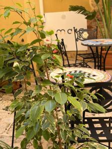 a plant in front of a table and a chair at BeB Omare Agrigento in Agrigento