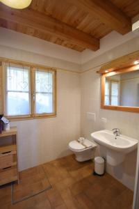 a bathroom with a sink and a toilet and a window at Chalet Brenta Dolomites in Madonna di Campiglio